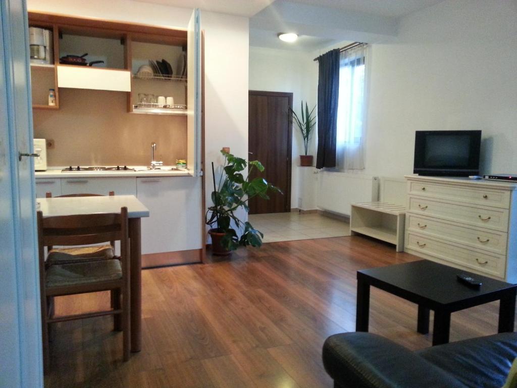 een woonkamer met een bank en een tafel en een keuken bij Banu Manta Apartments in Boekarest