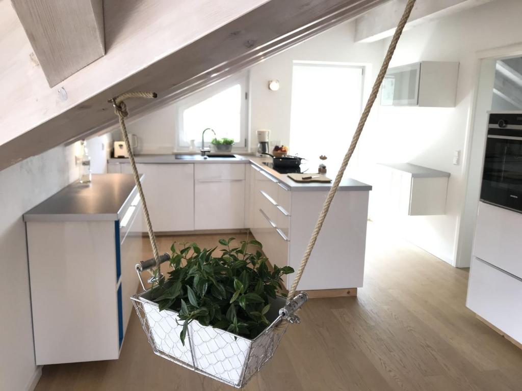 Kuchyň nebo kuchyňský kout v ubytování Haus Vincent