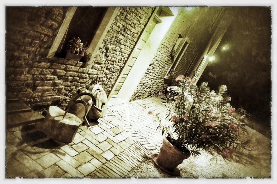 Domácí mazlíčci ubytovaní s hosty v ubytování Corte Stellata Holiday Apartments