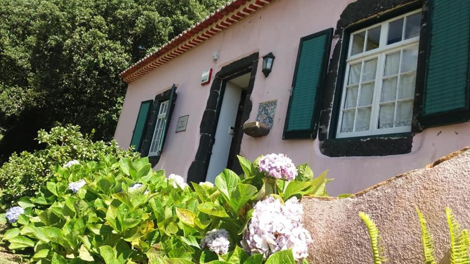 una piccola casa rosa con persiane verdi e fiori di Casa das Lapinhas a Lagoa