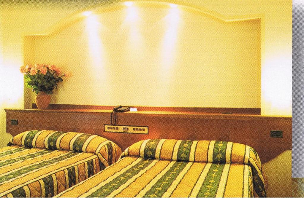 Postel nebo postele na pokoji v ubytování Hotel Piroga Padova
