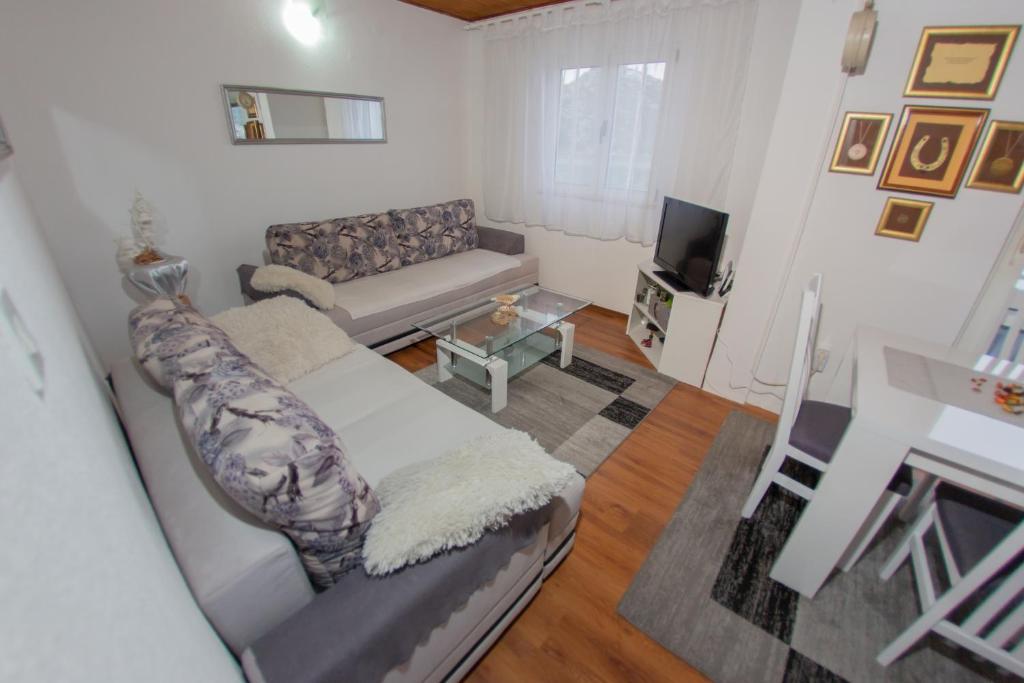 Televízia a/alebo spoločenská miestnosť v ubytovaní Apartmani Sunset Rogotin
