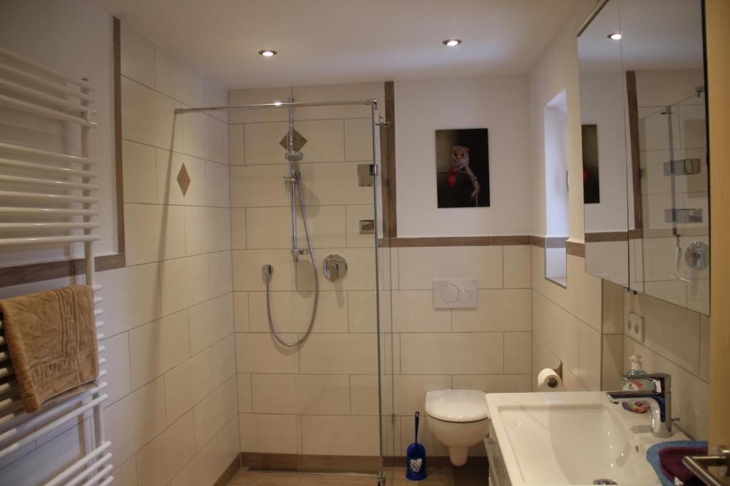 La salle de bains est pourvue d'une douche, de toilettes et d'un lavabo. dans l'établissement Bucherhof, à Fischbachau