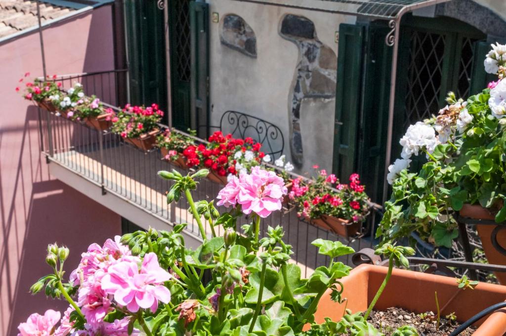 Zahrada ubytování Antico Borgo Etneo Country Hotel