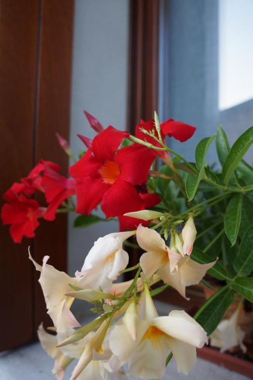 Zdjęcie z galerii obiektu LA BRIGATA APARTMENTS Suite Room w Cavallino-Treporti