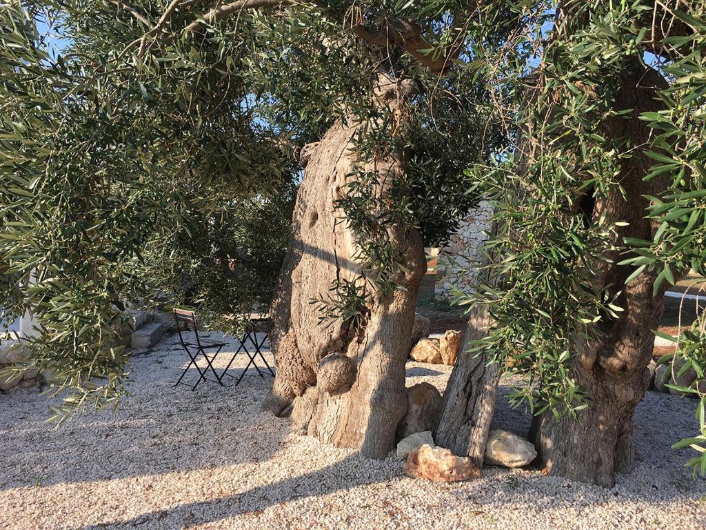 Vonkajšia záhrada v ubytovaní Boutique Hotel Masseria Sottomasi