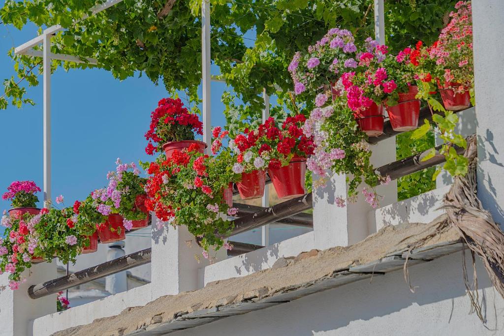 a bunch of flowers hanging from a building at Apartamentos Rurales Las Chimeneas in Capileira
