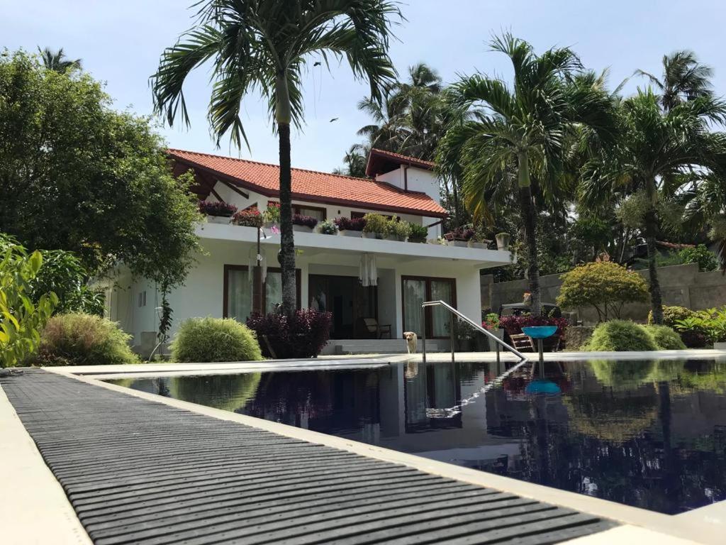 una casa con piscina frente a una casa en Colibri Villa, en Maggona West