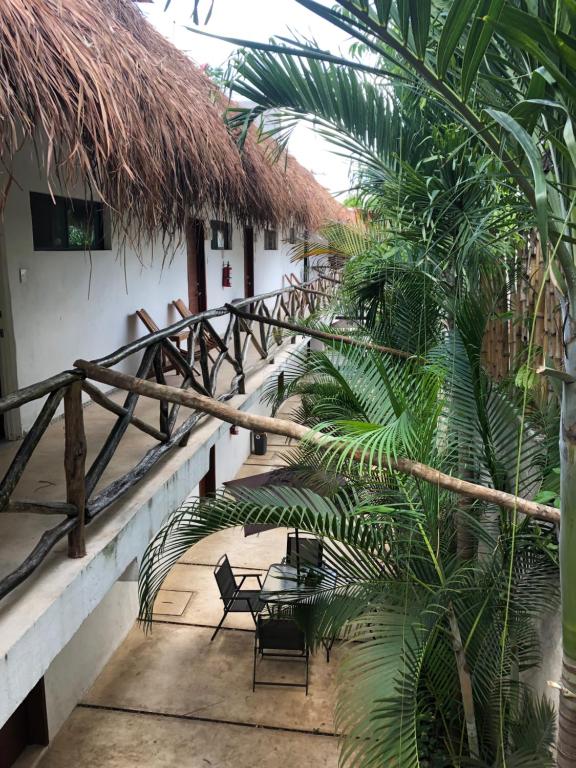 Zahrada ubytování Hotel Casa Bamboo
