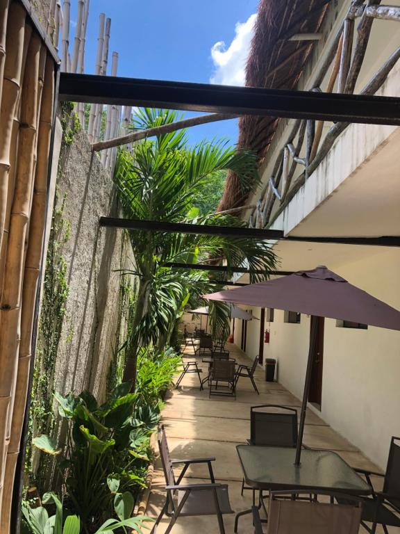 Balkón nebo terasa v ubytování Hotel Casa Bamboo
