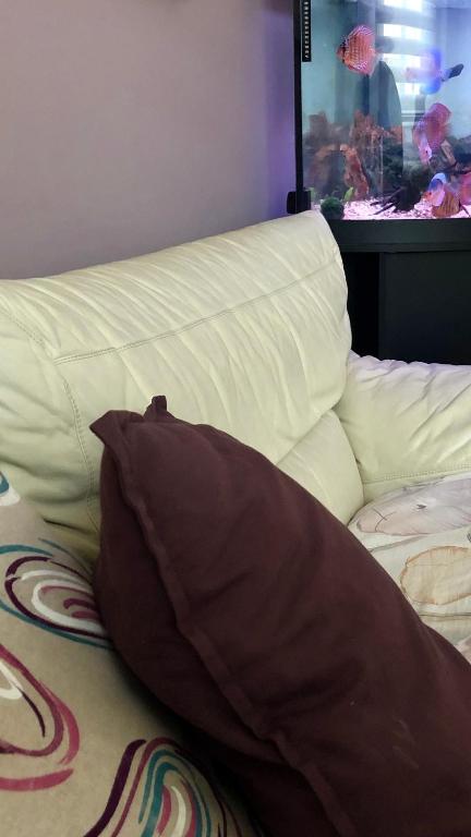 Łóżko lub łóżka w pokoju w obiekcie Casa Aurora