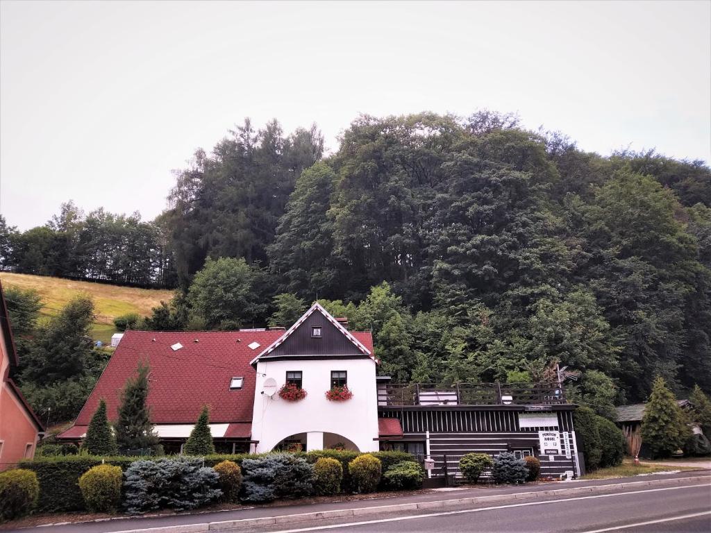 a white house with a red roof on a street at Ubytování Riegel in Svoboda nad Úpou