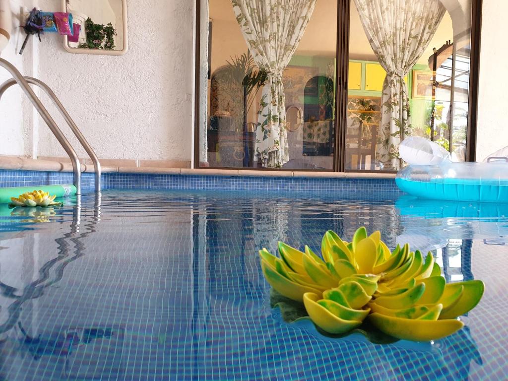 una piscina con una flor amarilla en el agua en Villa Panoramica, en Menton