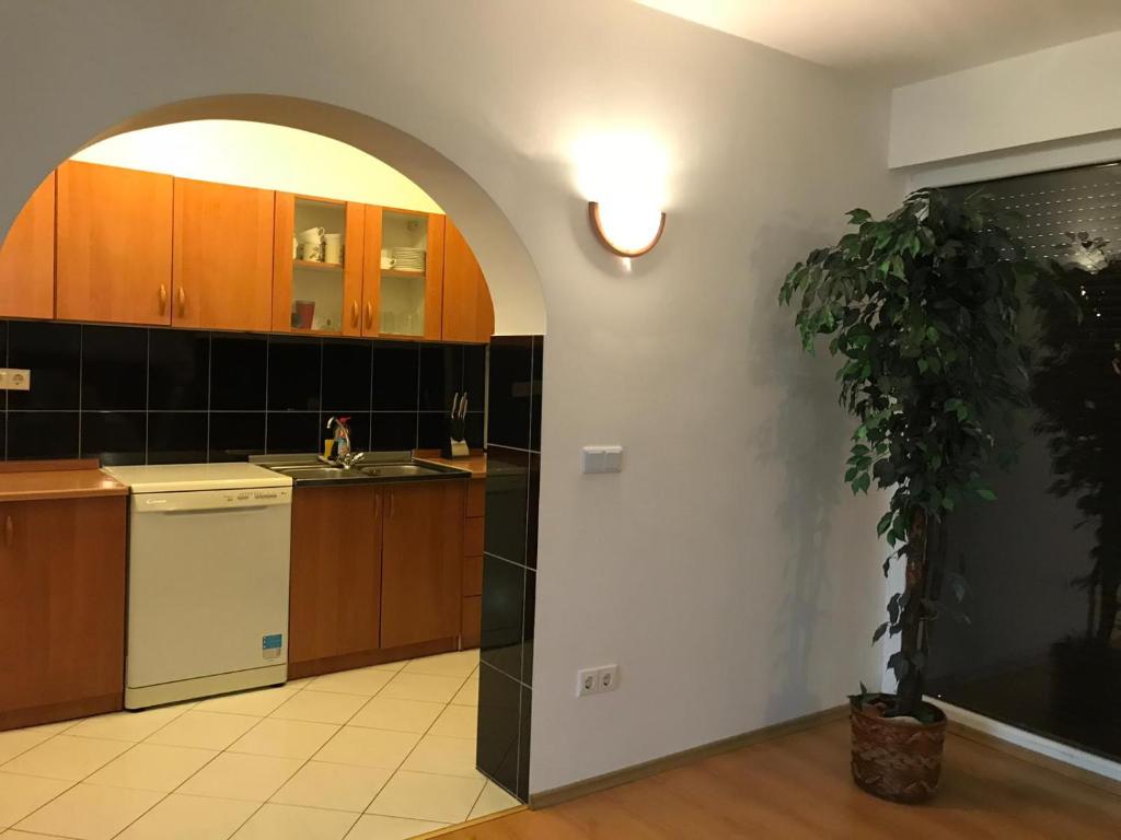 Kuchyňa alebo kuchynka v ubytovaní Villa Ceki
