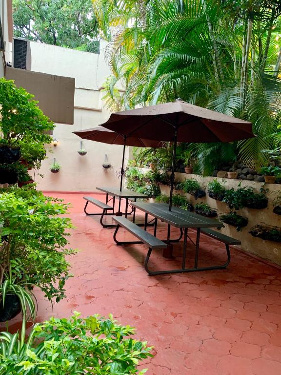 two picnic tables with an umbrella in a courtyard at Palmira Hostel in Tegucigalpa
