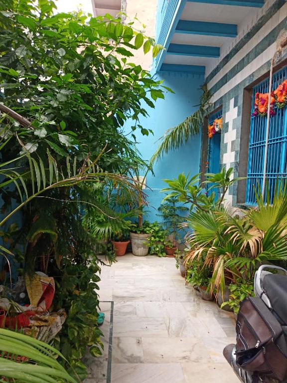 Zahrada ubytování Sunita homestay