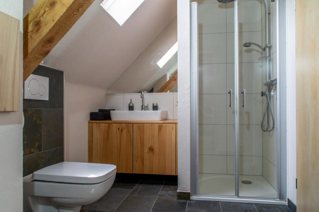 uma casa de banho com um chuveiro e um WC. em Moselglück em Sankt Aldegund
