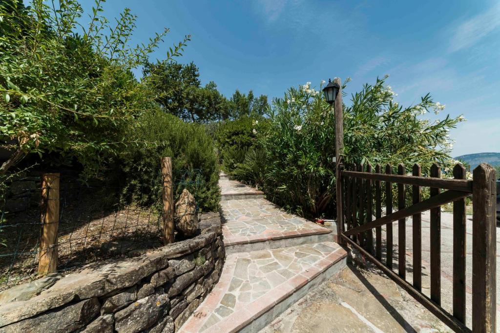 B&B Albachiara Casa di Campagna - 18