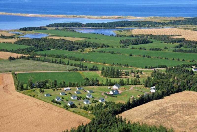 an aerial view of a farm with a bunch of animals at Swept Away Cottages in Cavendish