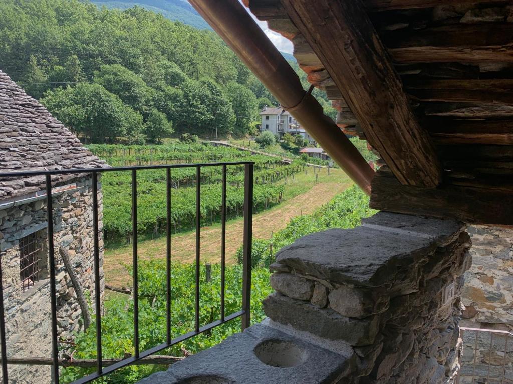 Příroda nedaleko apartmánu