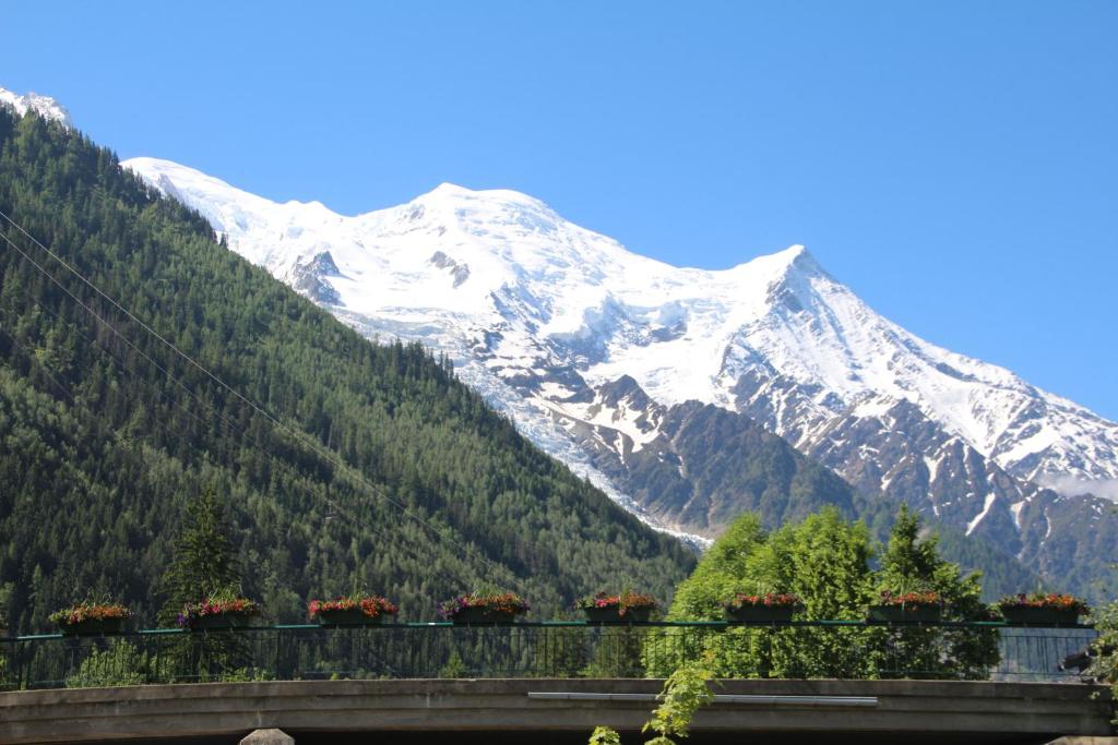 Une montagne enneigée avec des fleurs sur un pont dans l'établissement STUDIO CHAMONIX MONT-BLANC Idéalement situé, à Chamonix-Mont-Blanc
