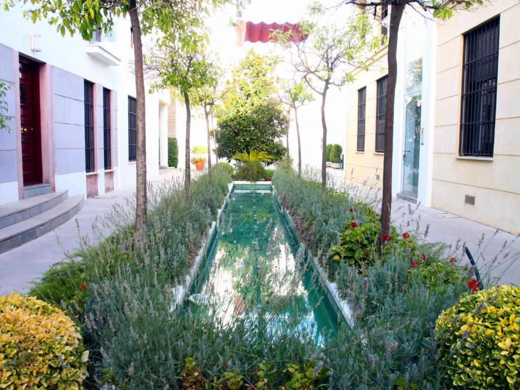 Saavedra Free Parking Cordoba Center - 14