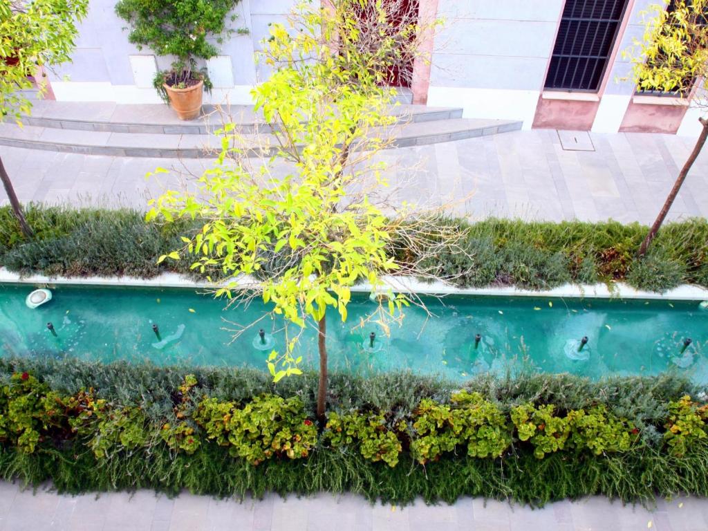 Saavedra Free Parking Cordoba Center - 15