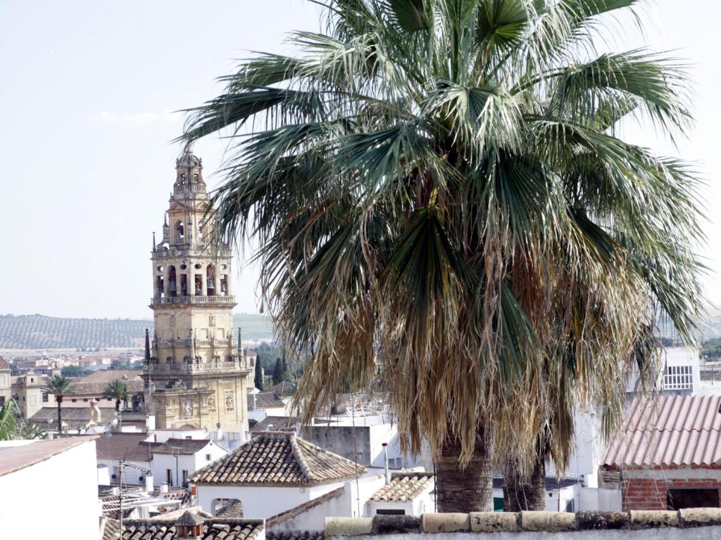 Saavedra Free Parking Cordoba Center - 18