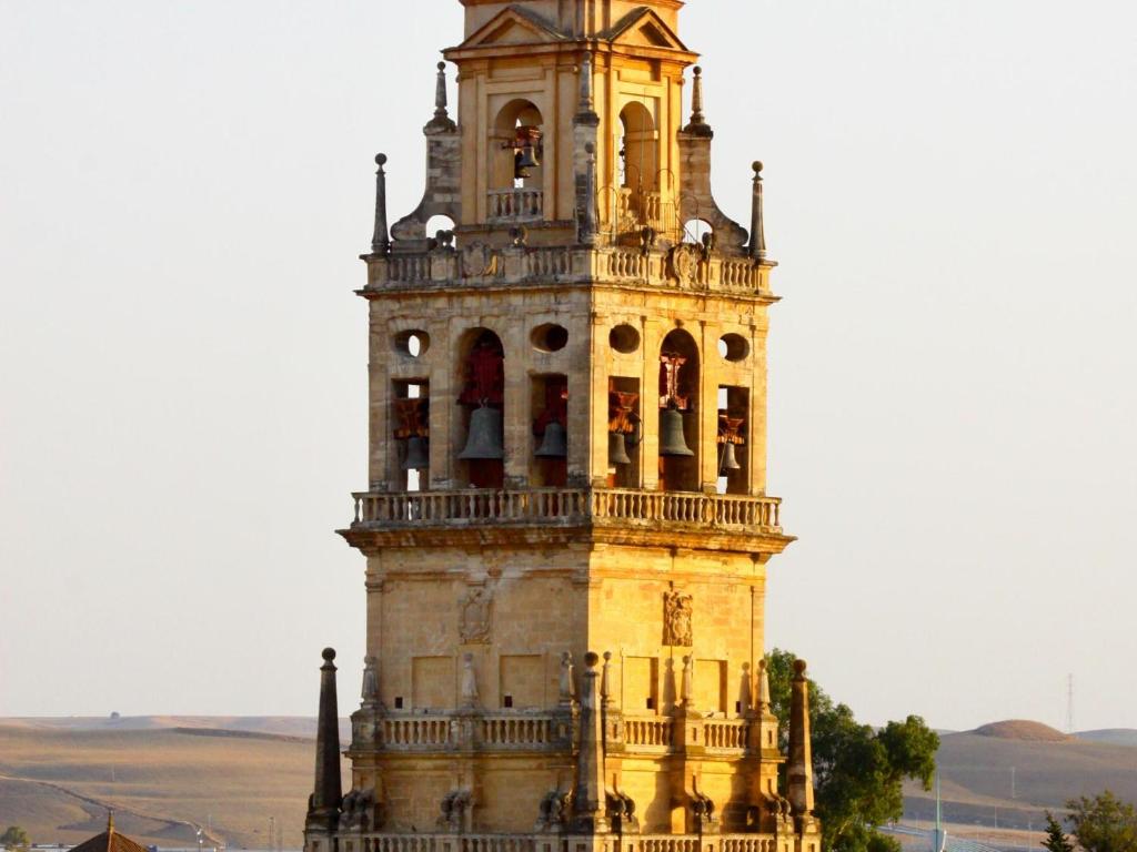 Saavedra Free Parking Cordoba Center - 17