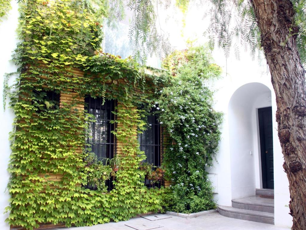 Saavedra Free Parking Cordoba Center - 16