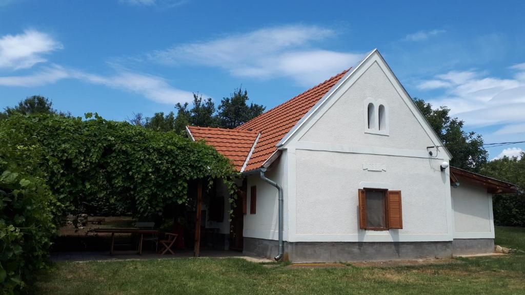 Káli 120 8272 Tagyon, Tagyon-hegy dűlő kép - 1