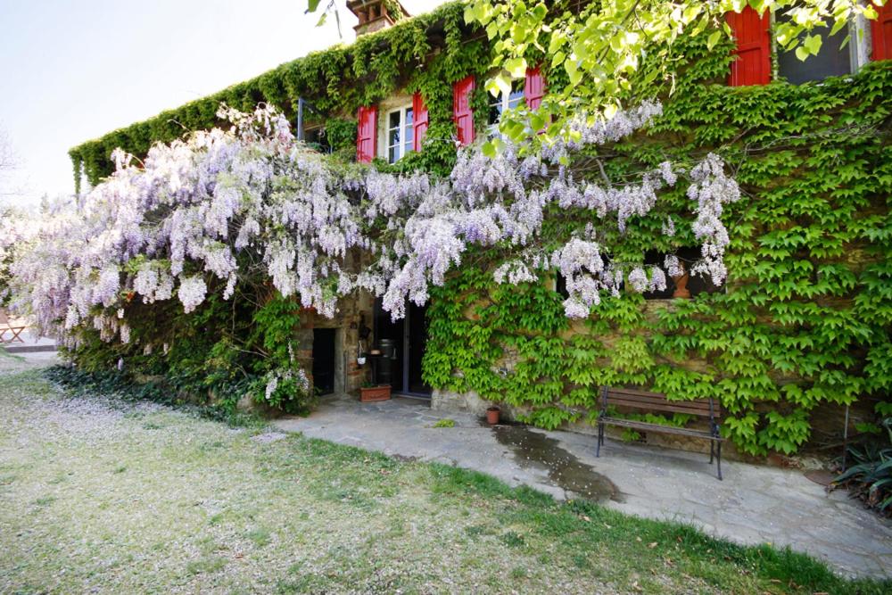 un bâtiment couvert de plantes avec un banc devant lui dans l'établissement Fattoria Montalbano, à Reggello