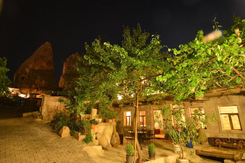 a house with a tree in front of it at night at Luwian Stone House in Goreme