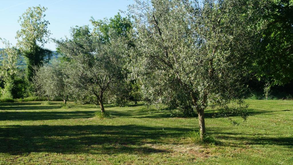 Vonkajšia záhrada v ubytovaní Agriturismo Poggio San Pietro