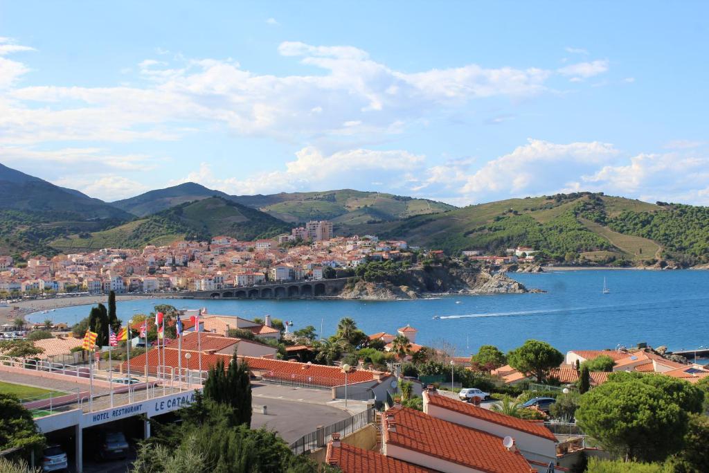 バニュルス・シュル・メールにあるAppartement Banyuls superbe vue sur merの町並みと水の流れ