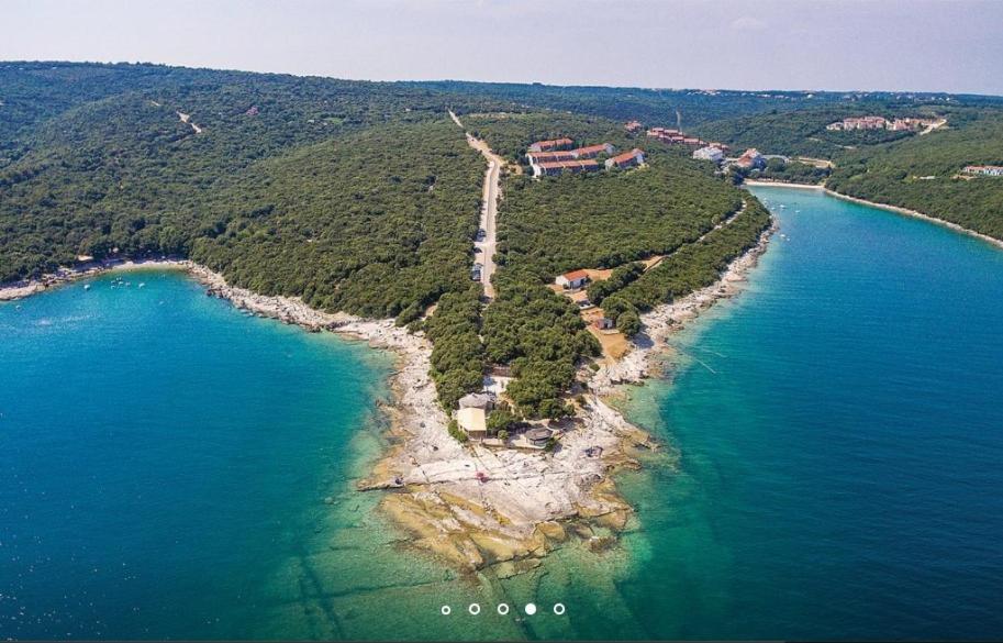 Przyroda w pobliżu tego domu wakacyjnego