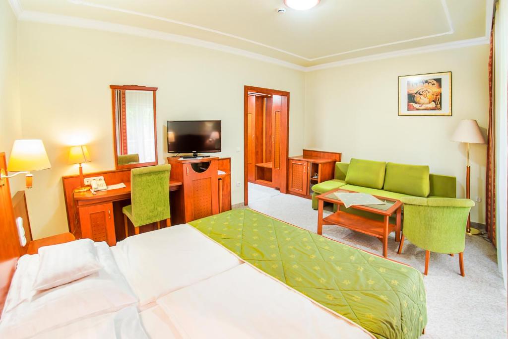 Hotel Silver - Superior Queen Room - New Building