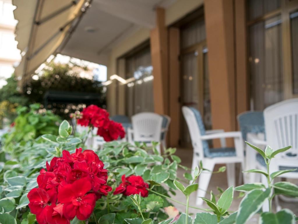 Zahrada ubytování Hotel Casa Mia