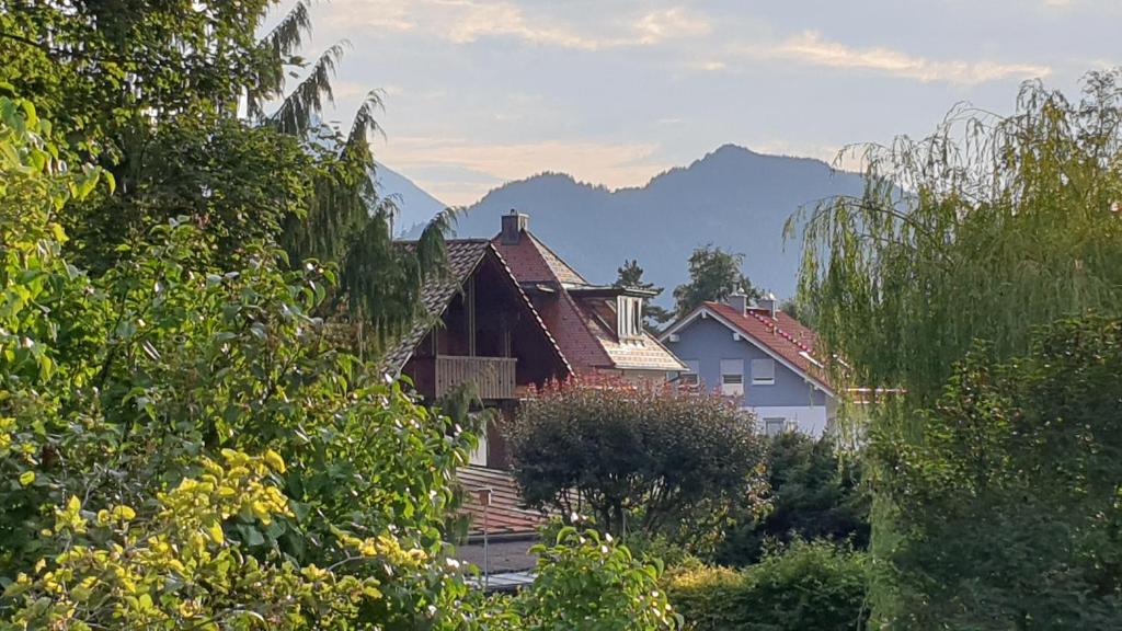 Noahs Apartments - 17