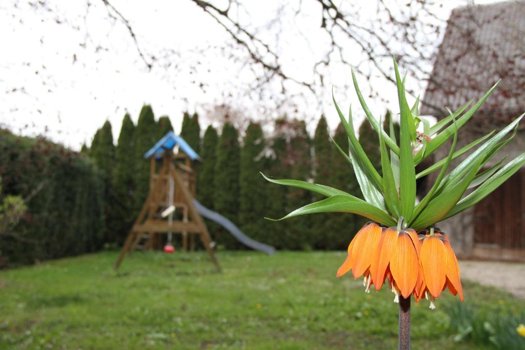 Zahrada ubytování Hotel Hiemer