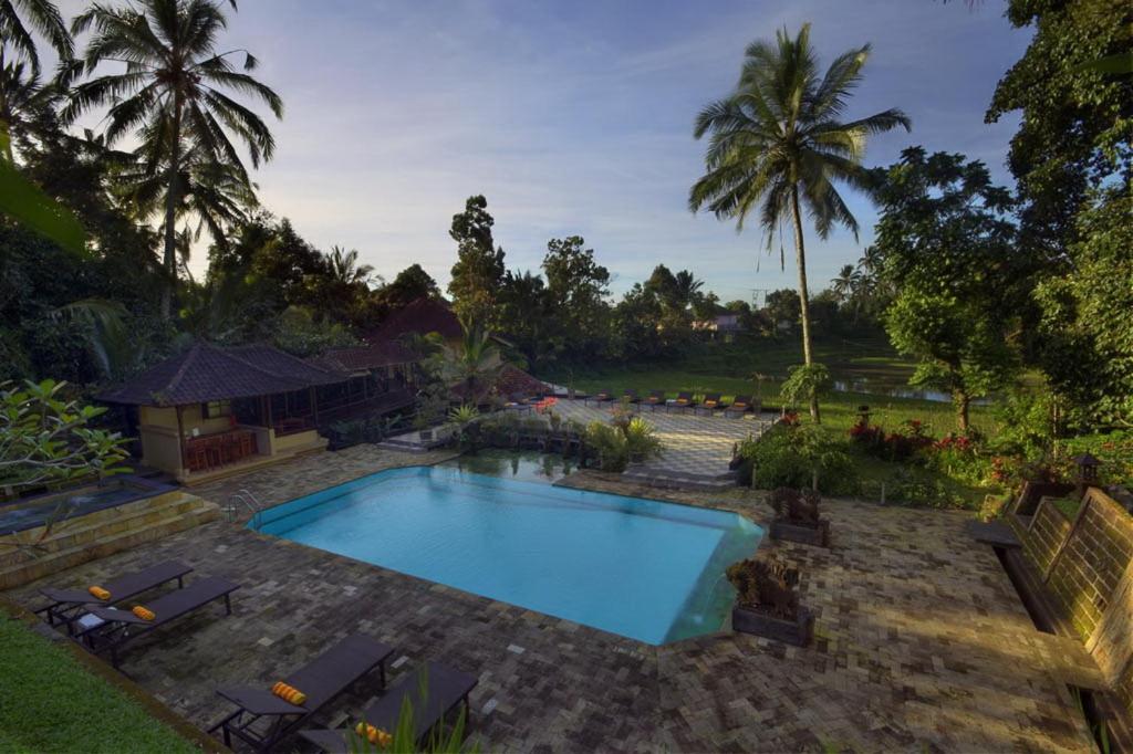 a swimming pool in a yard with palm trees at Cempaka Belimbing Villa in Blimbing