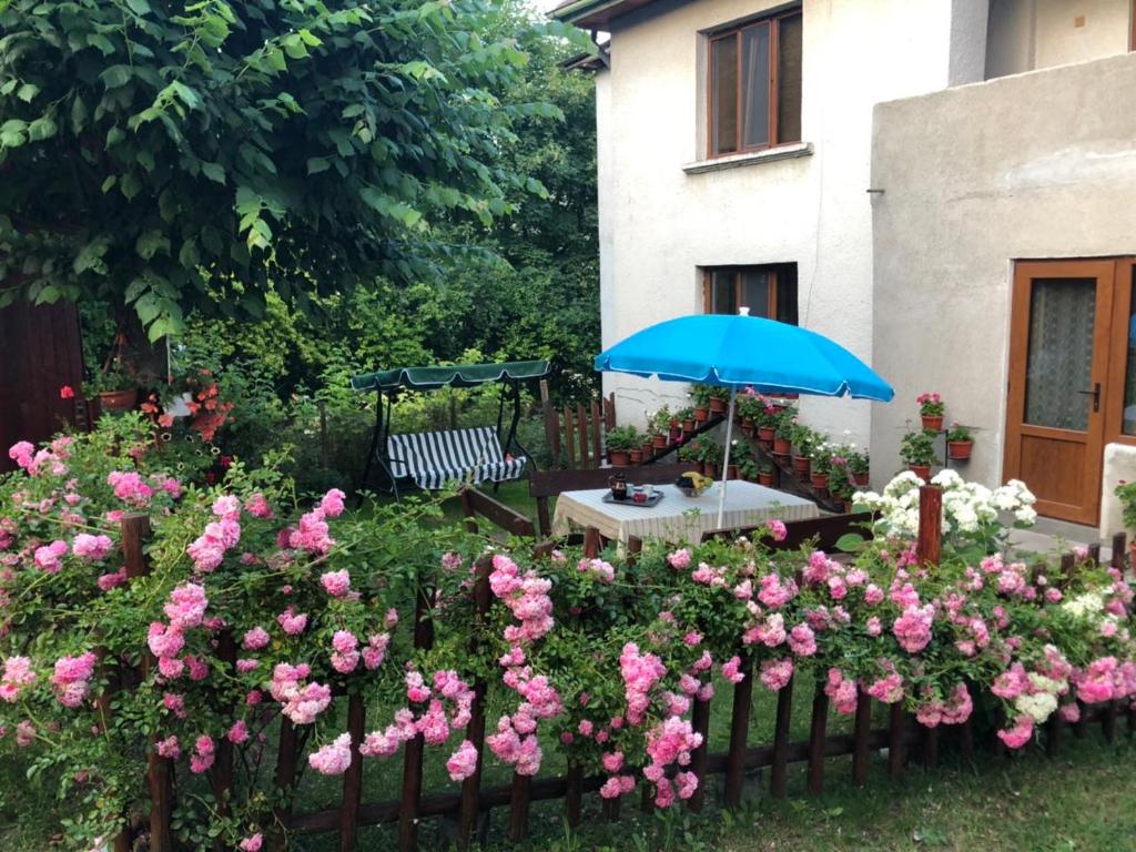 einen Garten mit einem Tisch, einem blauen Regenschirm und rosa Rosen in der Unterkunft Guest house Emmy in Trigrad