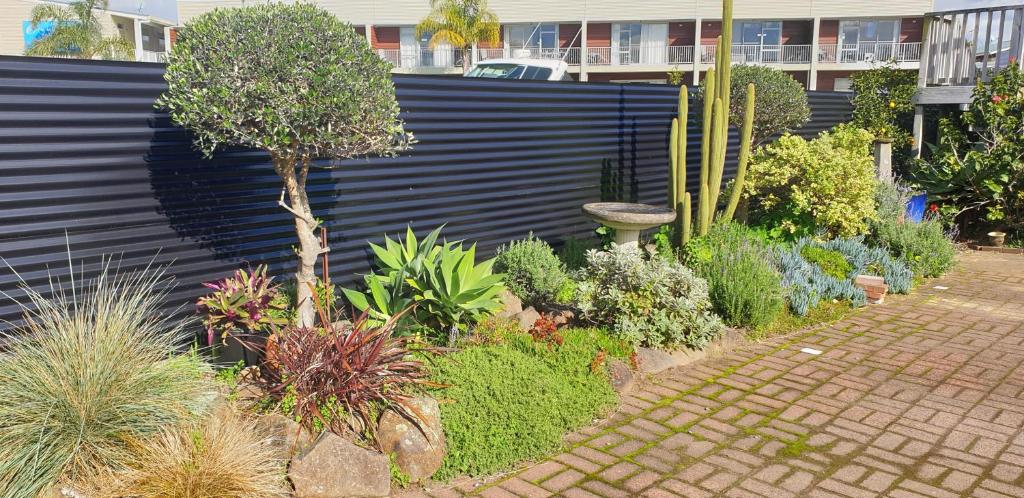 Blue Marlin Apartments - Resim 23