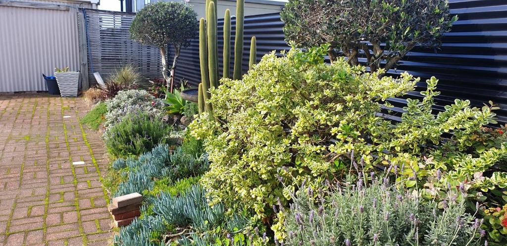 
Small Two-Bedroom Apartment - Ground Floor - 10
