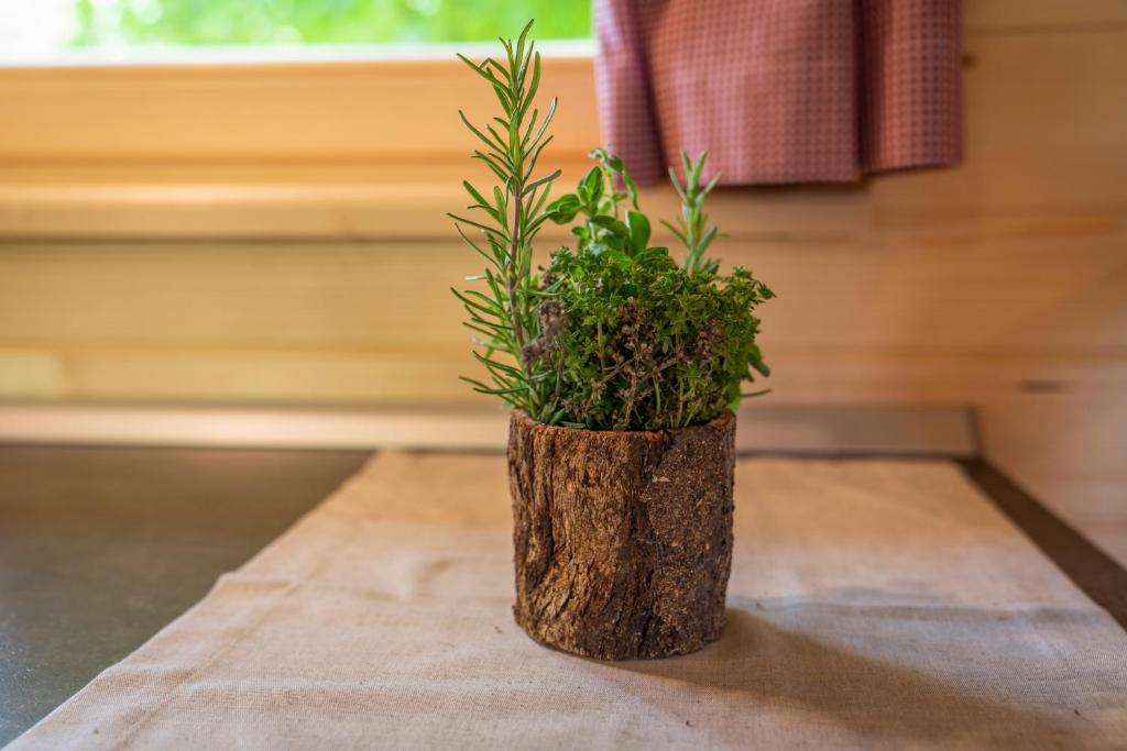 Fotografie z fotogalerie ubytování Camping Danica Cottage Stan v destinaci Bohinj