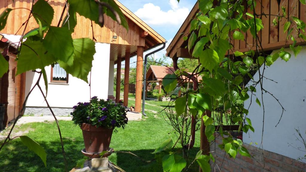 a porch of a house with a potted plant at Zergeboglár Vendégház in Szilvásvárad