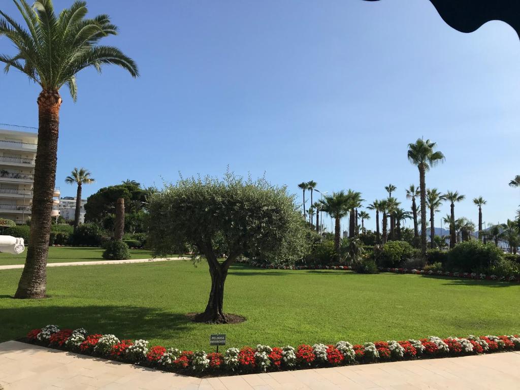 カンヌにあるAppartement Cannes sur Croisetteのヤシの木と花の公園