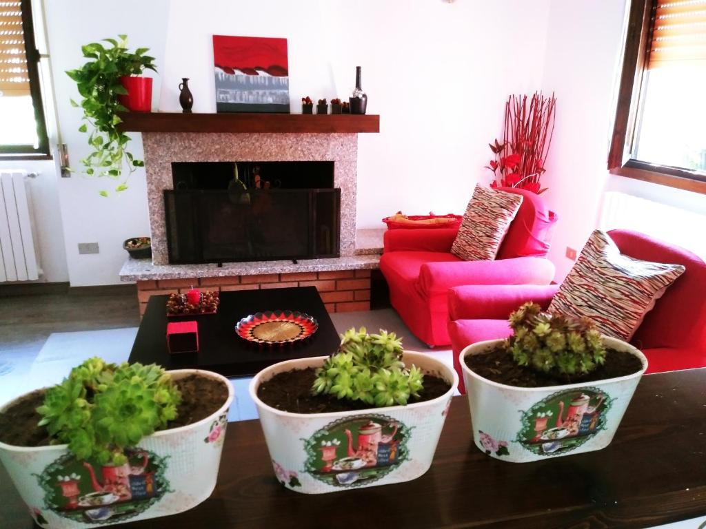 a living room with three potted plants on a table at Valtellinaguesthouse in Delebio