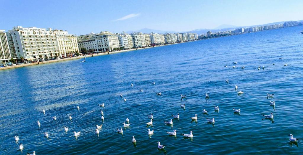 Príroda v okolí apartmánu