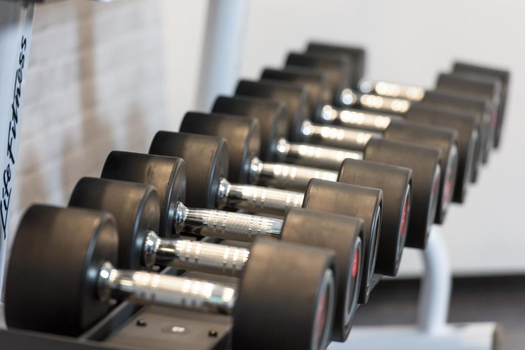 Fitness centrum a/nebo fitness zařízení v ubytování Hotel Alarun